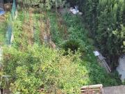 Chalet, Molí de Vent La Sauleda Santa Margarida, Palafrugell