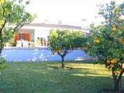 Chalet, Palmanyola