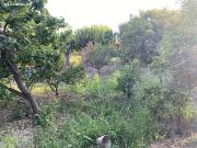 Chalet Pareado en Sn Benito Progreso