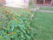 Chalet Parque Luro Mar del Plata