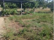 Chalet rústico Venta Carmona, Carmona