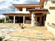 Chalet, S&apos Aranjassa Es Pil.larí, Palma de Mallorca