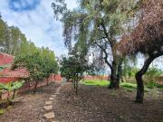 Chalet, San Cristóbal de la Laguna
