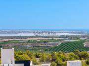 Chalet, San Miguel de Salinas