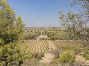 Chalet, Sant Martí Sarroca