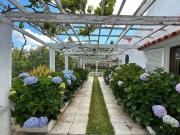 Chalet, Santa Brigida