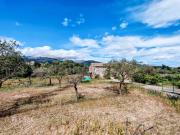 Chalet, Selva