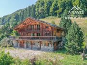 Chalet spacieux baigné de verdure et de calme