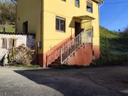 Chalet, Tineo