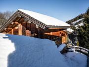 Chalet Traditionnel & proche pistes