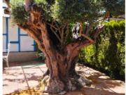 Chalet unifamiliar Venta Serranillos del Valle,...