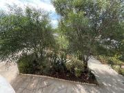 CHALET URBANO LEGALIZADO CON PISCINA Y JARDINES EN EL...