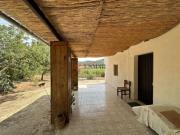 Chalet Venta Algar de Palància, Algar de Palància