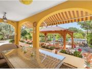 Chalet Venta Alicante Alacant, Orgegia