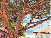 Chalet Venta Almonte, Matalascañas o Torre de la Higuera