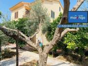 Chalet Venta Argelita, Argelita