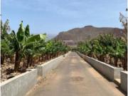 Chalet Venta Arona, Guargacho Guaza Cho