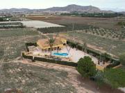 Chalet Venta Aspe, Aspe
