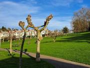 Chalet Venta Berango, Berango