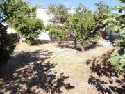 Chalet Venta Berja, Berja