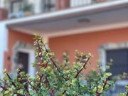 Chalet Venta Cádiz