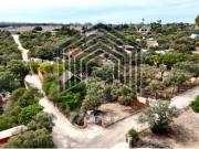 Chalet Venta Chiclana de la Frontera, Pago del Humo...