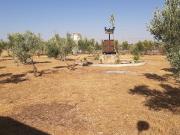Chalet Venta Ciudad Real