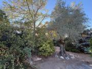 Chalet Venta Galapagar, Zona Calle Casa Amarilla