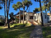 Chalet Venta Godella, Campo Olivar