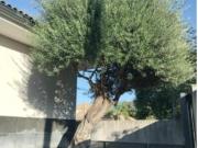 Chalet Venta Jerez de la Frontera, Norte