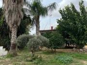 Chalet Venta L'Arboç, Can Llopart