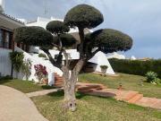 Chalet Venta Málaga