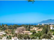 Chalet Venta Marbella, Elviria