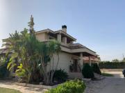 Chalet Venta Novelda, Novelda