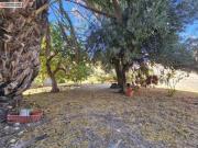 Chalet Venta Novelda, Novelda