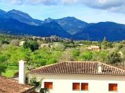 Chalet Venta Palma de Mallorca, Establiments