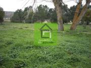 Chalet Venta Zamora Capital, Zamora Capital