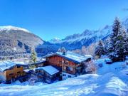 Chalets à vendre aux Houches: une propriété...