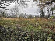 Challans 85300 Achat / Vente terrain