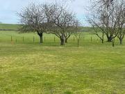 Chalonnes sur Loire 49290 Programme neuf terrain neuf à...