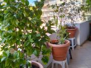 Chambre à louer en colocation