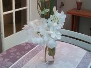 Chambre Cindy_Pour personne SOIGNEUSE! BIEN LIRE!