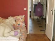 Chambre dans un appartement de 65m2
