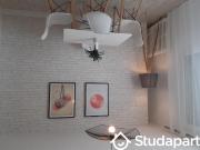 Chambre dans une colocation de 11m2