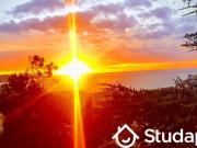 Chambre dans une colocation de 12m2