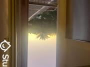 Chambre dans une colocation de 9m2 Chambre dans une colocation de 9m2