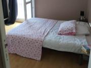 chambre en colocation