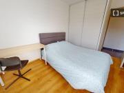 Chambre en colocation à louer, Moulin à Vent, Lyon