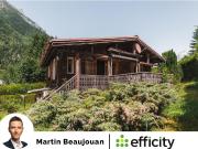 Chamonix Mont Blanc Vente Chalet 74