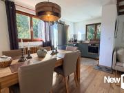 Chamonix Mont Blanc Vente Chalet 74